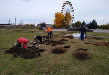 В Терновке появится площадка для воркаута (ФОТО и ВИДЕО)