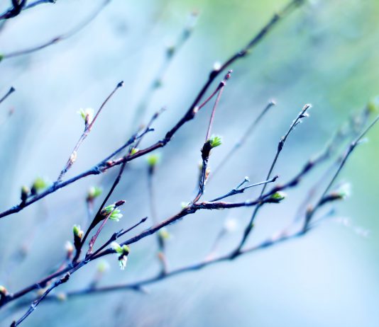 В Павлограде сильно похолодает