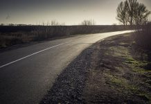 К первым трем заводам в Павлоградском индустриальном парке построят дорогу