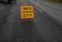 Под Павлоградом насмерть сбили велосипедиста