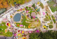 Окупанти знищили унікальний Екопарк Фельдмана (ВІДЕО)