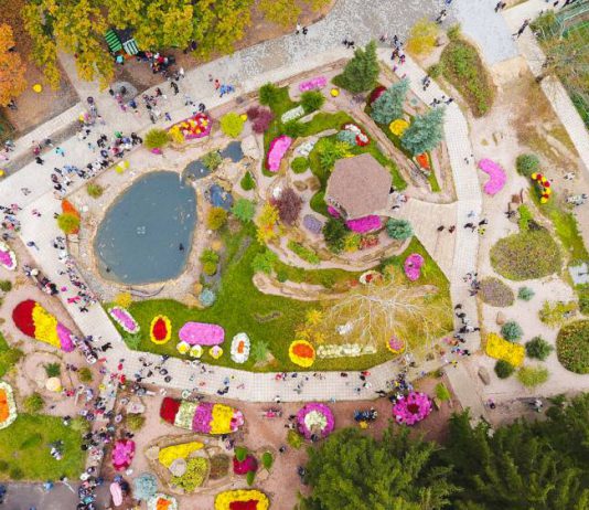 Окупанти знищили унікальний Екопарк Фельдмана (ВІДЕО)