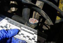 Фигурант «дела Вязовиченко» попался на новом преступлении (ОБНОВЛЕНО)