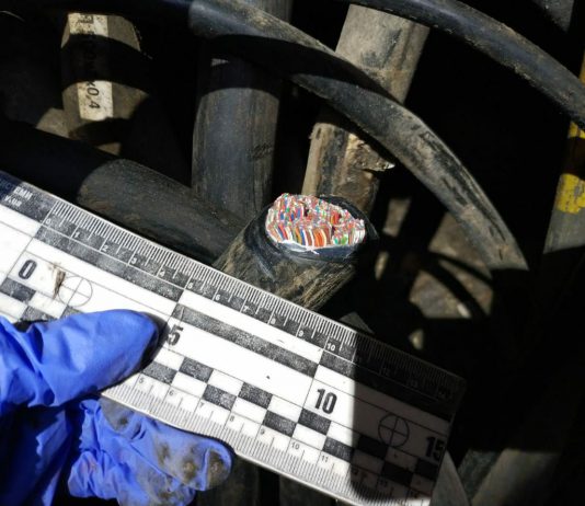 Фигурант «дела Вязовиченко» попался на новом преступлении (ОБНОВЛЕНО)