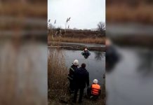 В Павлограде спасли тонущего рыбака