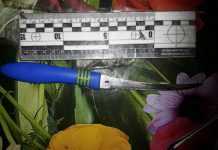 В Першотравенске дочь ударила мать ножом