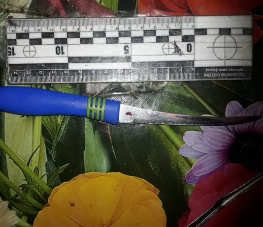 В Першотравенске дочь ударила мать ножом