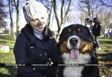 В Павлограде соревновались собаки разных пород (ФОТО)
