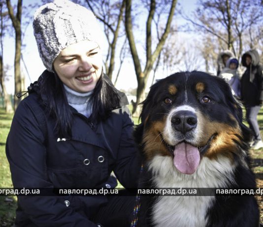 В Павлограде соревновались собаки разных пород (ФОТО)