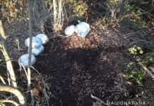 В Васильковском районе мужчина закапывал в землю 13 кг наркотиков