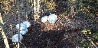 В Васильковском районе мужчина закапывал в землю 13 кг наркотиков