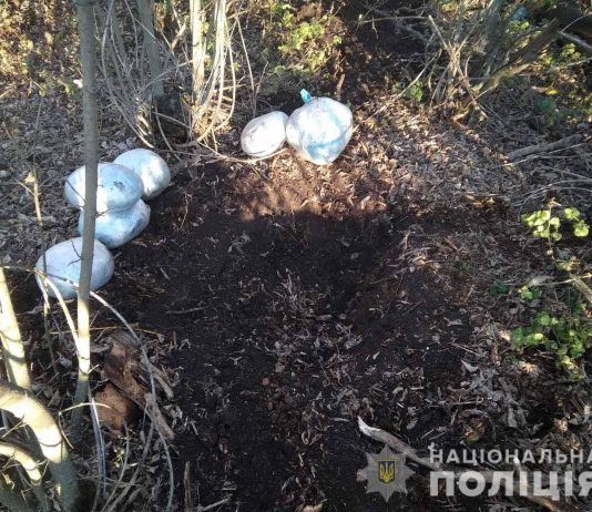 В Васильковском районе мужчина закапывал в землю 13 кг наркотиков