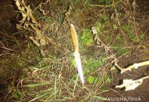 В Павлограде «на горячем» задержали кабельных воров