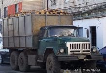 В Павлограде полиция остановила две машины с древесиной без документов