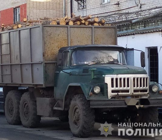В Павлограде полиция остановила две машины с древесиной без документов
