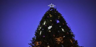 В Павлограде зажглась новогодняя елка (ФОТО и ВИДЕО)