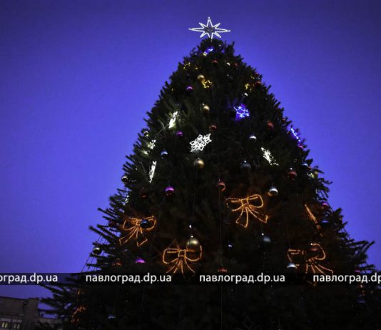 В Павлограде зажглась новогодняя елка (ФОТО и ВИДЕО)