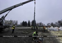 В Павлограде начали устанавливать главную елку города (ФОТОФАКТ)