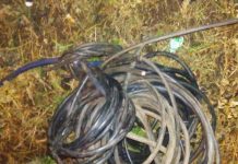 В Павлограде задержали серийного вора