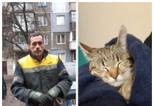 Спасательная операция: в Павлограде сняли с дерева котика (ВИДЕО)