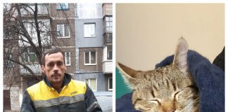 Спасательная операция: в Павлограде сняли с дерева котика (ВИДЕО)