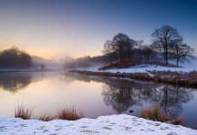 В Юрьевском районе громаде вернули земельный участок стоимостью более 8 млн грн