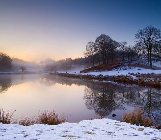 В Юрьевском районе громаде вернули земельный участок стоимостью более 8 млн грн