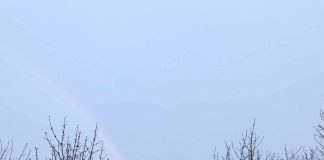 В Павлограде увидели радугу за 3 дня до Нового года (ФОТО)