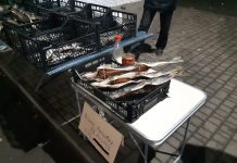 В Павлограде у торговца изъяли больше 100 штук сушеной рыбы