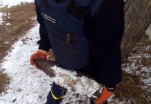 Во время прогулки павлоградец нашел старый снаряд