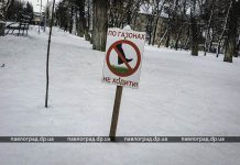 В Павлограде выпал первый снег (ФОТО)