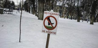 В Павлограде выпал первый снег (ФОТО)