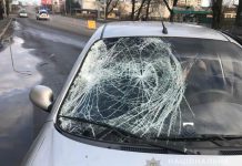 В Павлограде сбили пешехода: разыскиваются свидетели