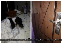 В Терновке живодер перерезал горло двум собакам