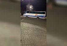 В Павлограде столкнулись иномарка и автобус, сбили ситилайт и светофор