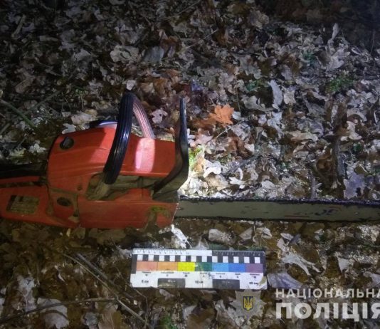 В Павлоградском районе задержали «черных лесорубов»