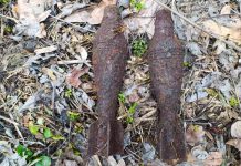 В Кочережском лесу нашли две мины