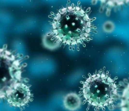 Что надо знать о новом коронавирусе?