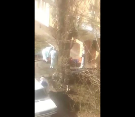 Зарегистрирован ли в Павлограде коронавирус? В соцсетях обсуждают странное видео