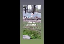 В Павлограде дезинфицируют площадки для сбора мусора (ВИДЕО)