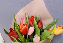 Почем в этом году в Павлограде тюльпаны?