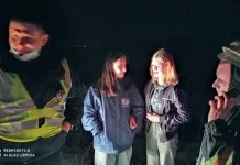 В лесу Павлоградского района заблудились две девочки