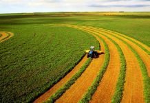 1500 гривен за гектар: владельцев земельных паев обложили новым налогом