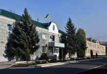 Официально: В Першотравенске зарегистрировано 6 случаев заболевания COVID-19