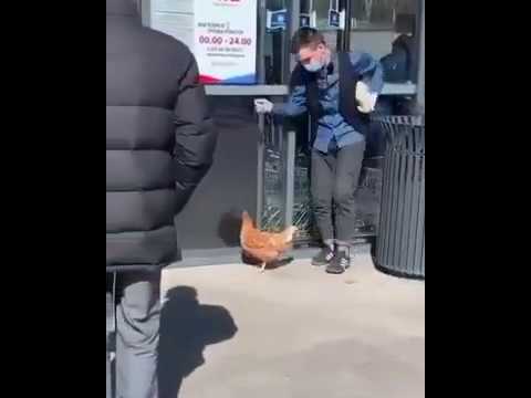 Под Днепром парень вышел в магазин с … курицей (ВИДЕО)