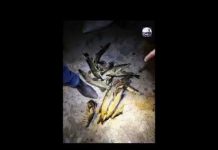 На р. Самара поймали браконьеров-подводников (ВИДЕО)