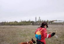 Знаменитая собака Спарки из Павлограда помогла найти тело пропавшей девушки