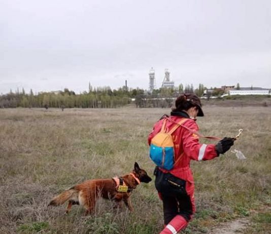 Знаменитая собака Спарки из Павлограда помогла найти тело пропавшей девушки