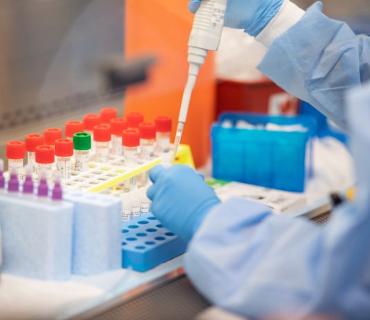 Есть ли в Павлограде сейчас заболевшие коронавирусом?