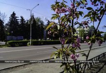 Лето не за горами: в Павлограде сильно потеплеет